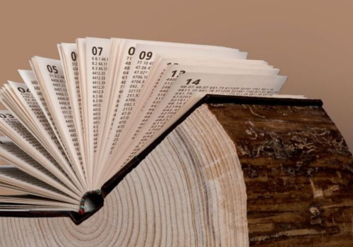 Paper and Forest